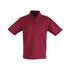 Traditional Polo Unisex - Workwear Branding Embroidery ｜Digital Printing